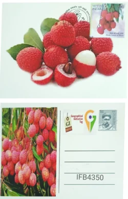 India 2023 Geographical Indication Tag Shahi Litchi of Bihar Picture Postcard Patna Cancelled IFB04350