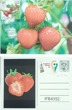 India 2023 Geographical Indication Tag Mahabaleshwar Strawberry Picture Postcard Pune Cancelled IFB04352