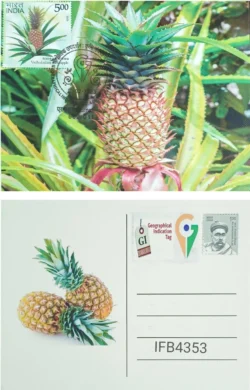 India 2023 Geographical Indication Tag Vazhakulam Pineapple Picture Postcard Ernakulam Cancelled IFB04353