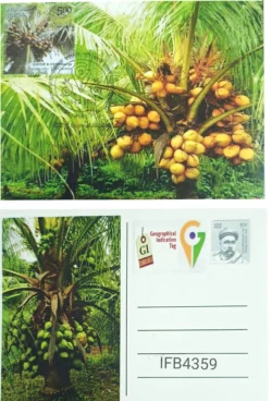 India 2023 Geographical Indication Tag Eathomozhy Tail Coconut Picture Postcard Chennai Cancelled IFB04359