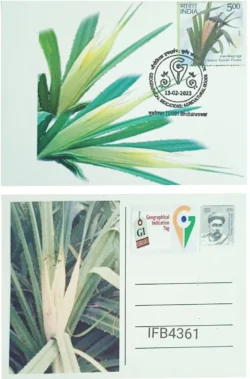 India 2023 Geographical Indication Tag Ganjam Kewda Flower Picture Postcard Bhubaneshwar Cancelled IFB04361