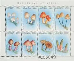 Uganda 1996 Mushrooms of Africa UMM Sheetlet PC05049