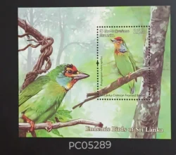 Sri Lanka 2021 Endemic Birds of Sri Lanka Crimson Fronted Barbet UMM Miniature Sheet PC05289