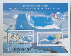 India 2009 Preserve the Polar Regions and Glaciers UMM Miniature sheet PC05459