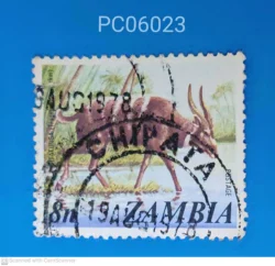 Zambia SITATUNGA (Tragepeaker) Antelope Animal Used PC06023
