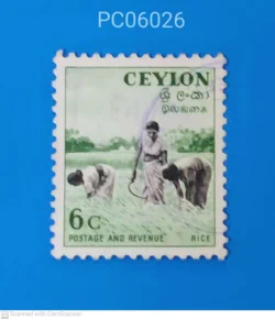 Sri Lanka Ceylon Harvesting Rice Cultivation Used PC06026