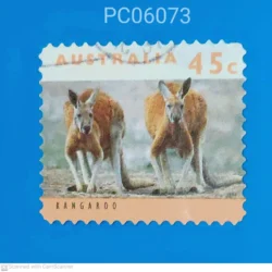 Australia Red Kangaroo Macropus rufus Used PC06073