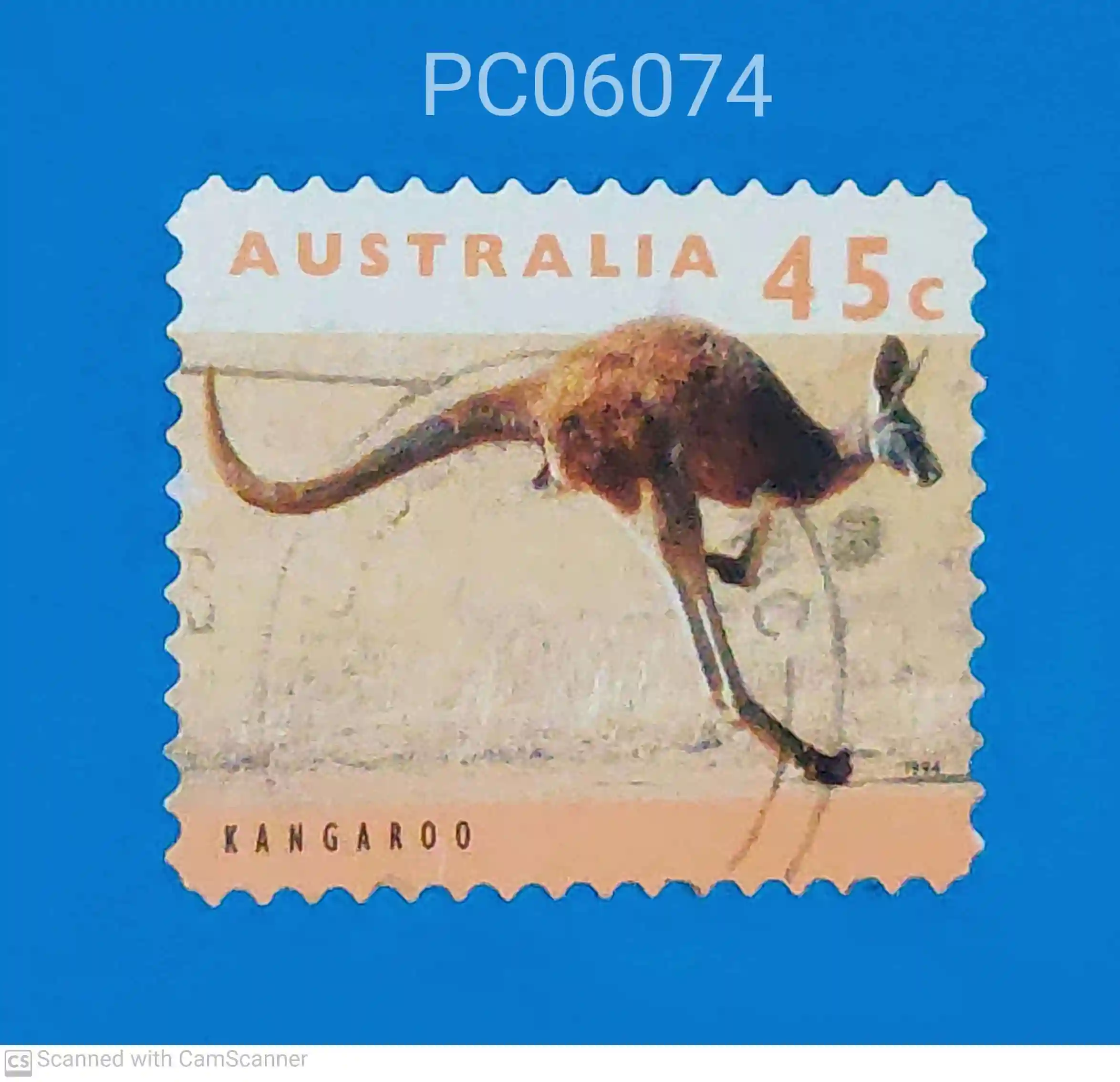 Australia Red Kangaroo Macropus rufus Used PC06074