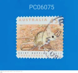 Australia Dusky Hopping Mouse Used PC06075