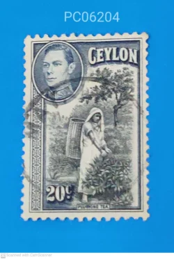 Sri Lanka Ceylon Plucking Tea Postmark may be Differ Used PC06204