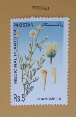 Pakistan Chamomilla Medicinal Plants UMM PC06421