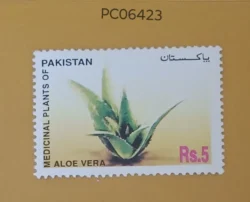 Pakistan Aloe Vera Medicinal Plants UMM PC06423