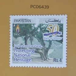 Pakistan 2004 Protecting National Heritage Juniper Forest at Ziarat UMM PC06439