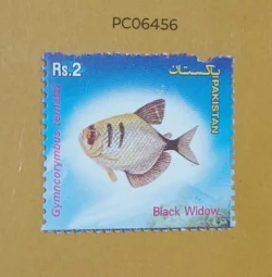 Pakistan Black Widow Fish Mint PC06456