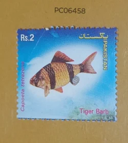 Pakistan Tiger Barb Fish Mint PC06458