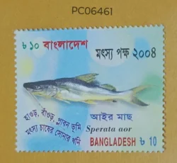 Bangladesh Sperata Oar Fish UMM PC06461
