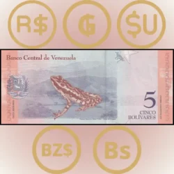 South America Bank Notes