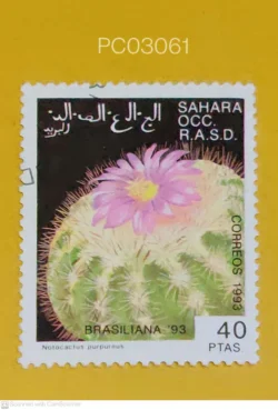 Western Sahara 1993 Notocactus Purpureus Cactus Used PC03061
