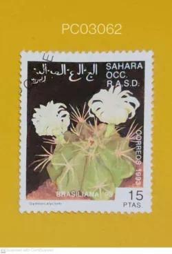 Western Sahara 1993 Gymnocalycium Cactus Used PC03062