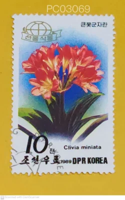 North Korea 1989 Clivia Miniata Flowers Used PC03069