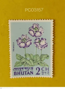 Bhutan Primula Flower Mint PC03157