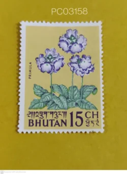 Bhutan Primula Flower Mint PC03158