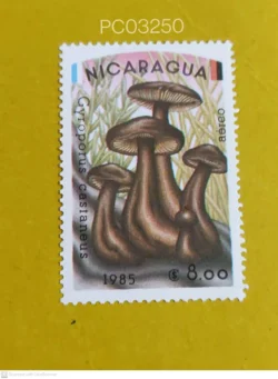 Nicaragua 1985 Gyroporus castaneus Mushroom Mint PC03250