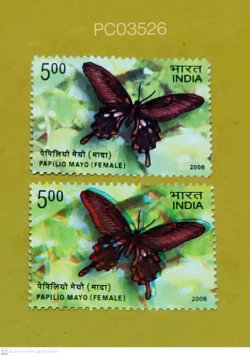 India 2008 Butterfly Papilio Mayo Female Error Printing Shifted UMM PC03526