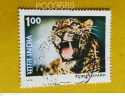 India 1976 Wildlife Leopard Used PC03685